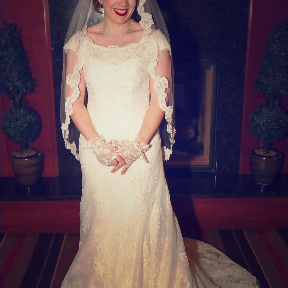 Wedding dress and veil
